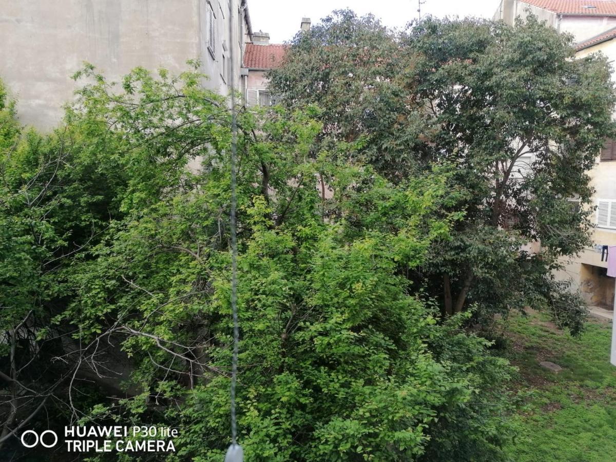Apartment Linda - Zadar City Center エクステリア 写真